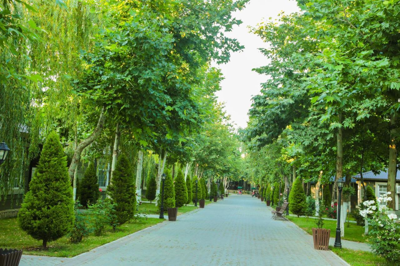 Vogue Hotel Resort And Spa - Nabran Extérieur photo